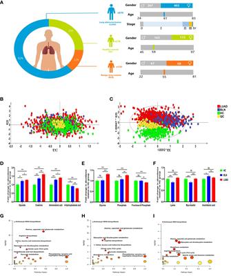 Plasma metabolomics reveals risk factors for lung adenocarcinoma